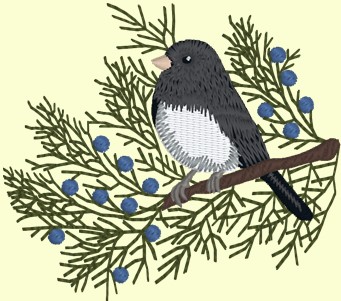 9junco.jpg